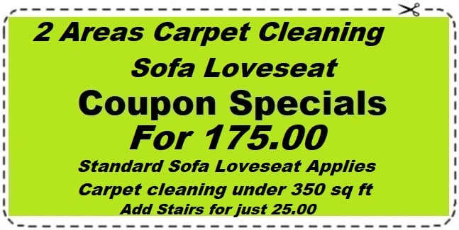 carpet cleaning and upholstery combo
