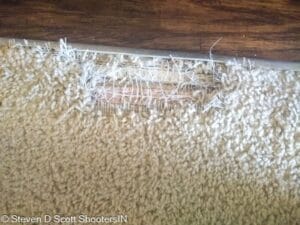 Carpet tear in dining room living area before