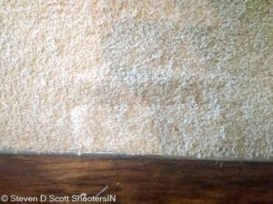 Carpet tear in dining room living area after