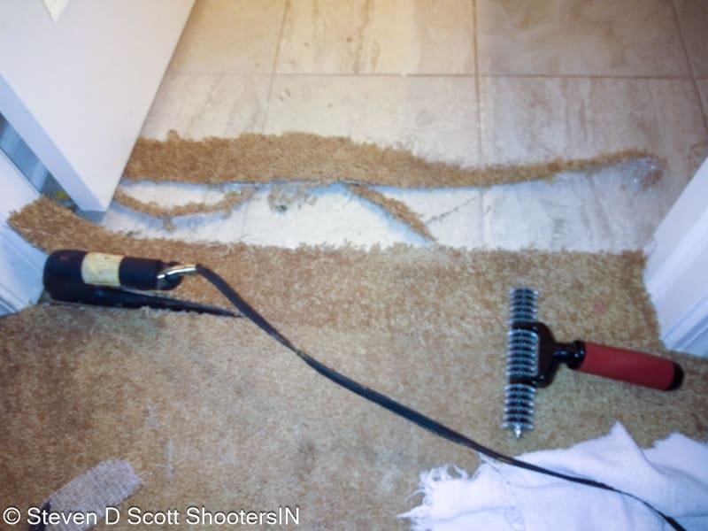 Best carpet cleaners in Indianapolis